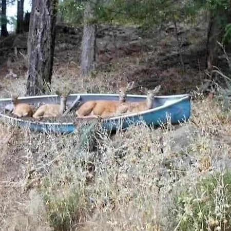 Puhkemajad Nyaraló *