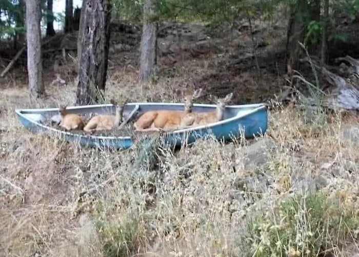 Puhkemajad Σπίτι διακοπών *